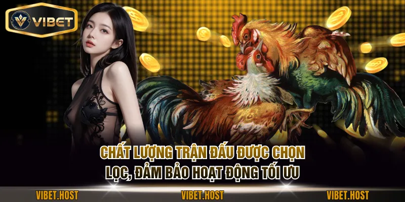 Chất lượng trận đấu được chọn lọc, đảm bảo hoạt động tối ưu