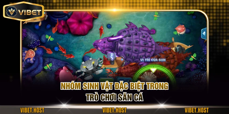 Nhóm sinh vật đặc biệt trong trò chơi săn cá