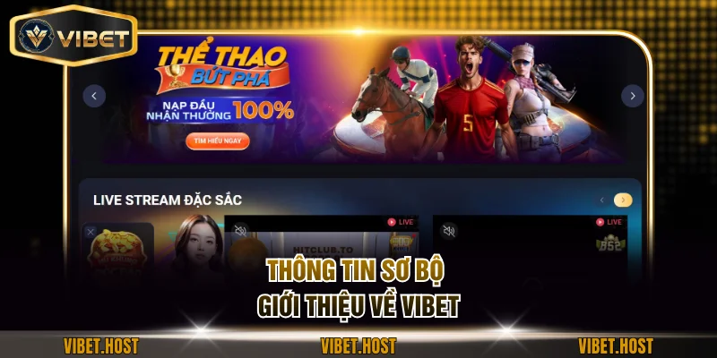 Thông tin sơ bộ giới thiệu về VIBET